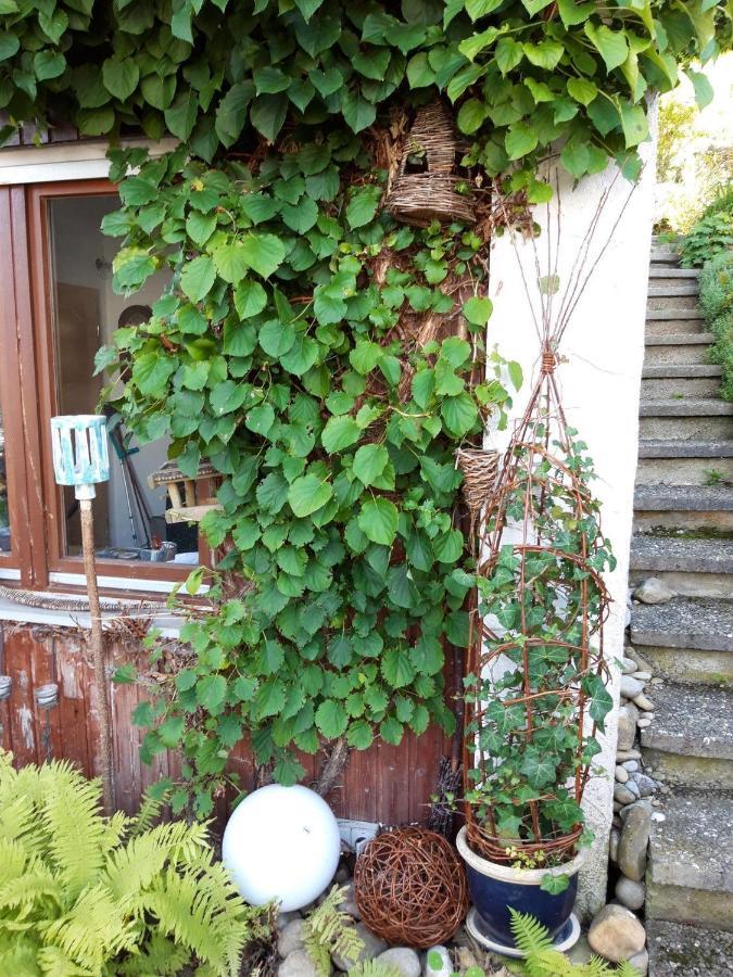 Ferienwohnung Rosa Muller Wangen im Allgäu Eksteriør bilde